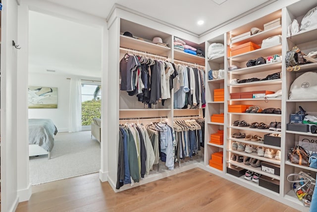 walk in closet with hardwood / wood-style flooring