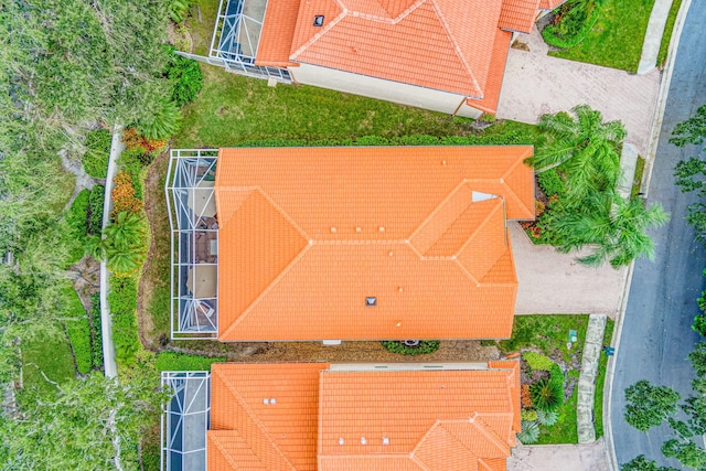 drone / aerial view