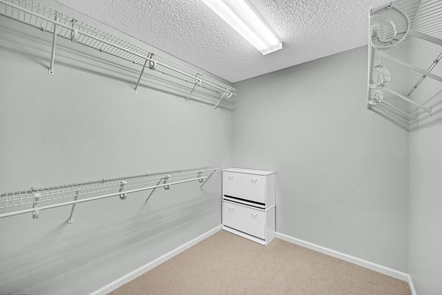 spacious closet with light carpet