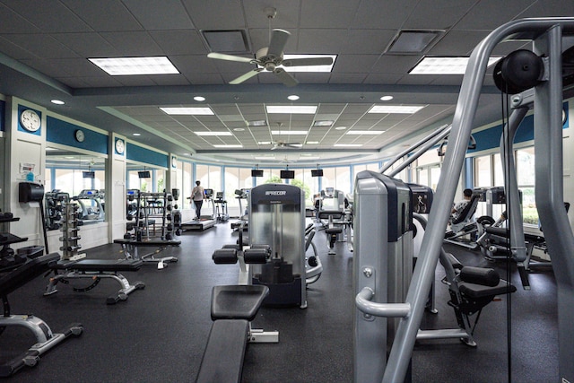 gym with a drop ceiling, plenty of natural light, and ceiling fan