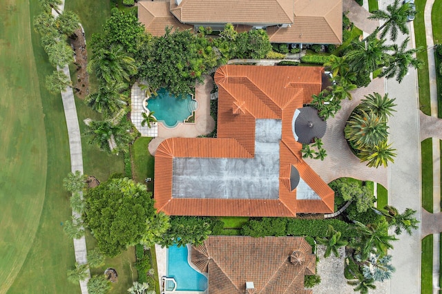 bird's eye view