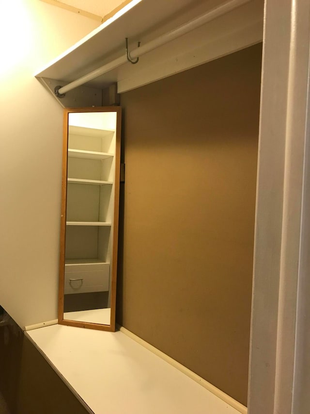 view of closet