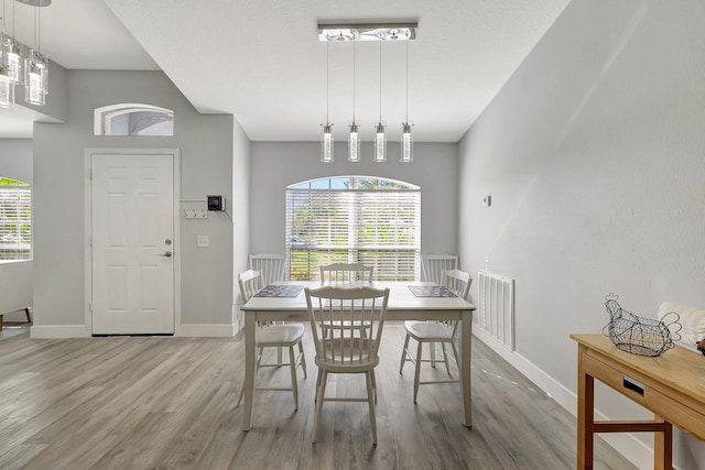 dining room with hardwood / wood-style floors