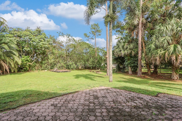 view of yard featuring a patio