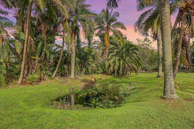 view of yard at dusk