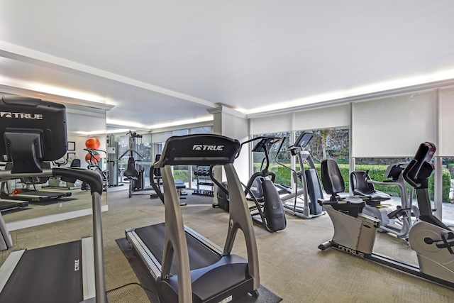 workout area with light carpet and a wealth of natural light