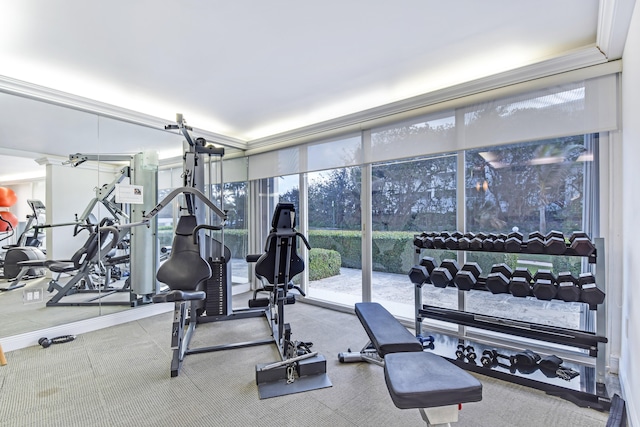 workout area featuring crown molding