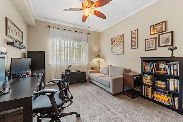 carpeted home office with ornamental molding and a ceiling fan