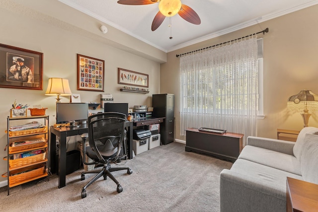 carpeted home office with ceiling fan and crown molding