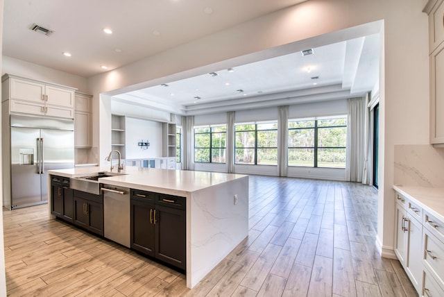 kitchen featuring sink, a raised ceiling, a healthy amount of sunlight, and stainless steel appliances