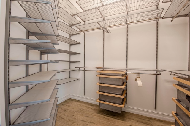 walk in closet featuring light hardwood / wood-style floors