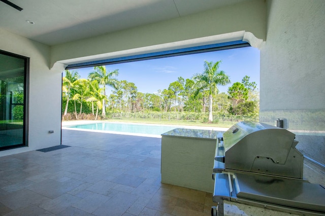 view of swimming pool with a grill and a patio area