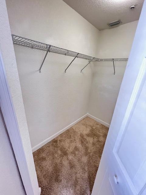 walk in closet with carpet floors