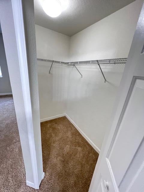 spacious closet with carpet