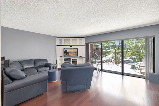 living room with a textured ceiling and dark hardwood / wood-style flooring