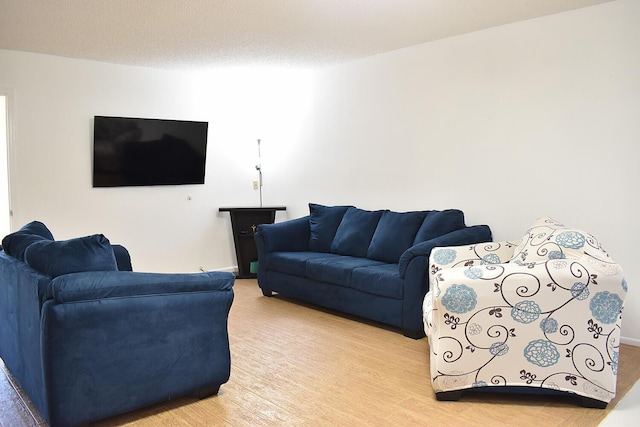 living room with a textured ceiling and light hardwood / wood-style floors