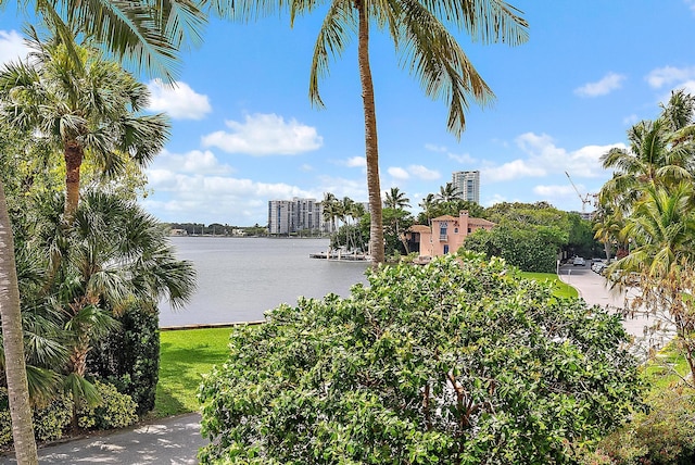 425 Worth Ave Unit 2F, Palm Beach, FL 33480 - water view