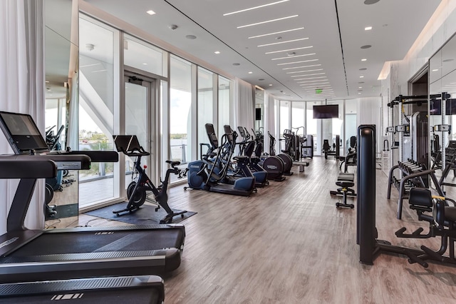 gym featuring light hardwood / wood-style floors and a wall of windows