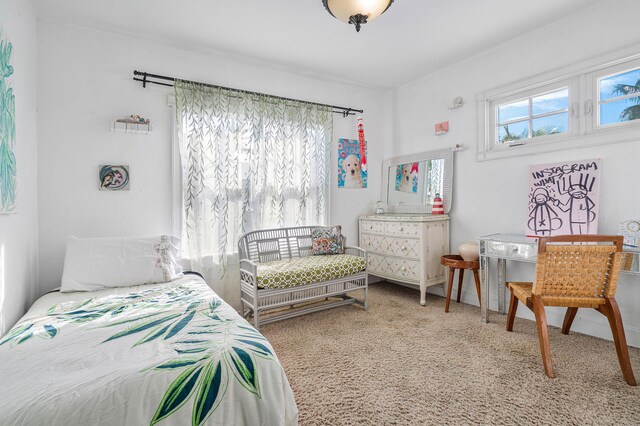 323 Dyer Rd, West Palm Beach, FL 33405 - bedroom featuring carpet floors