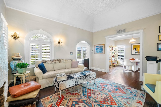 living room featuring a textured ceiling, dark hardwood / wood-style floors, and a wealth of natural light