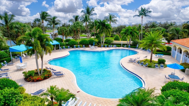 view of swimming pool featuring a patio