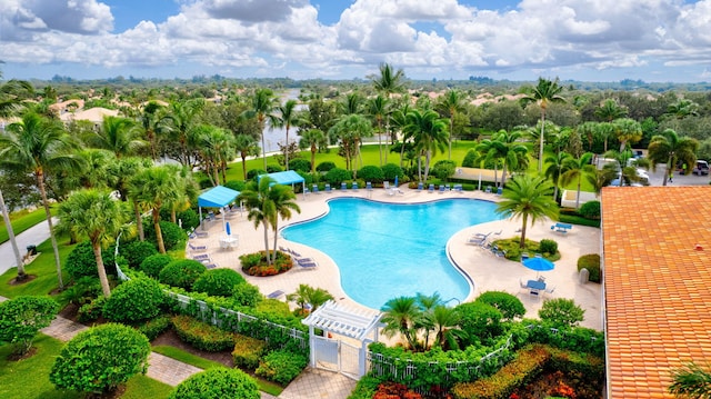 view of pool with a patio area