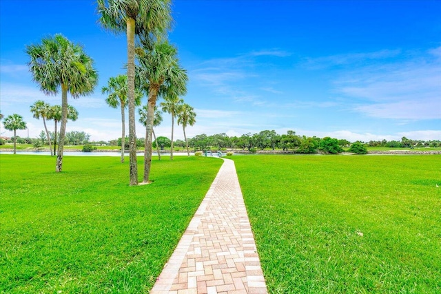 view of community featuring a lawn