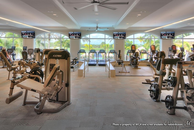 exercise room with light colored carpet, a raised ceiling, and ceiling fan