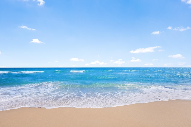 water view with a view of the beach