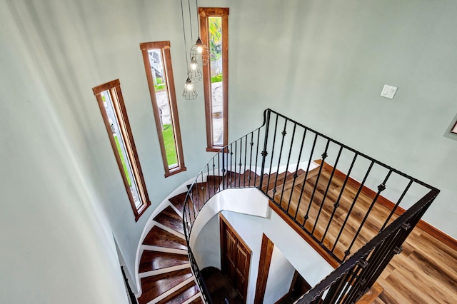 staircase with wood-type flooring