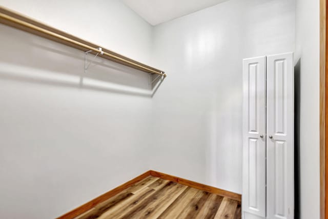 walk in closet featuring hardwood / wood-style floors