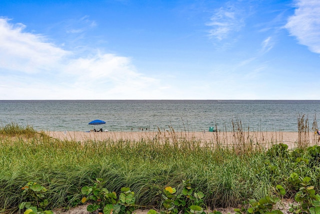 water view with a view of the beach