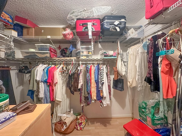 walk in closet with wood-type flooring