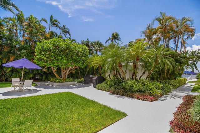 view of home's community featuring a yard and a patio area