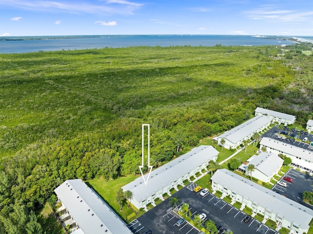 aerial view with a water view and a view of trees