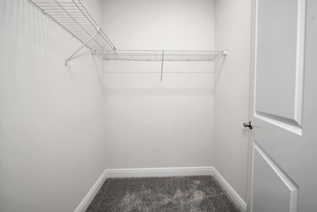 spacious closet featuring carpet flooring