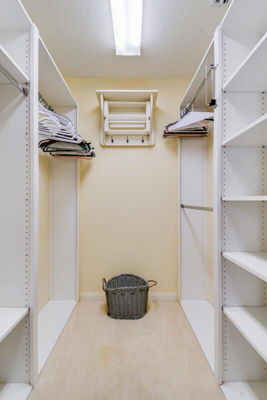 walk in closet with carpet floors