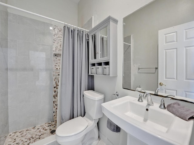 bathroom featuring toilet, sink, and a shower with curtain