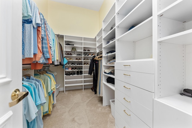 spacious closet featuring light carpet