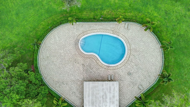 view of swimming pool with a lawn