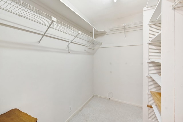 spacious closet featuring light carpet