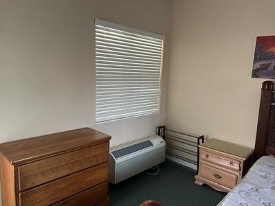 bedroom featuring dark carpet