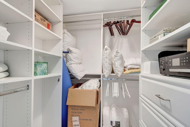 view of spacious closet