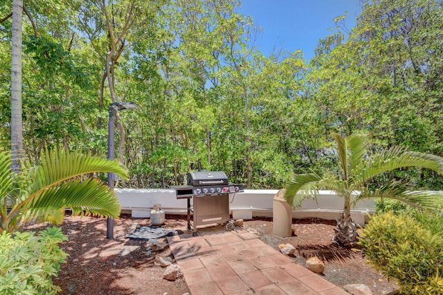 view of patio / terrace featuring area for grilling