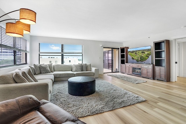 living room with a wealth of natural light and hardwood / wood-style flooring