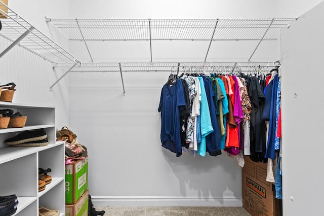 spacious closet with carpet floors