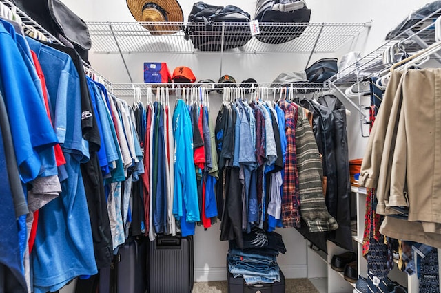 walk in closet with carpet floors