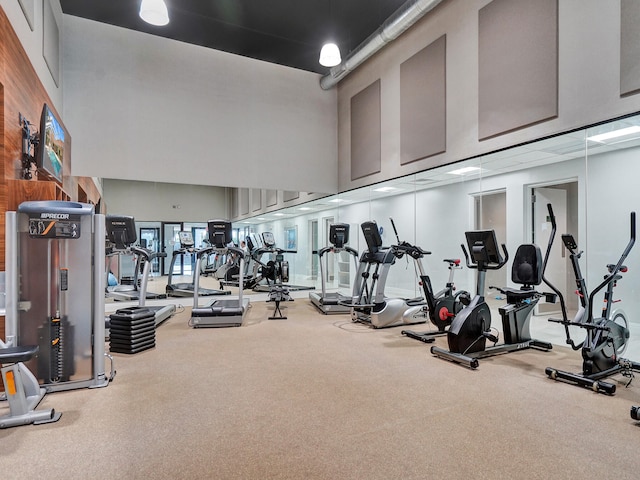 workout area featuring a towering ceiling