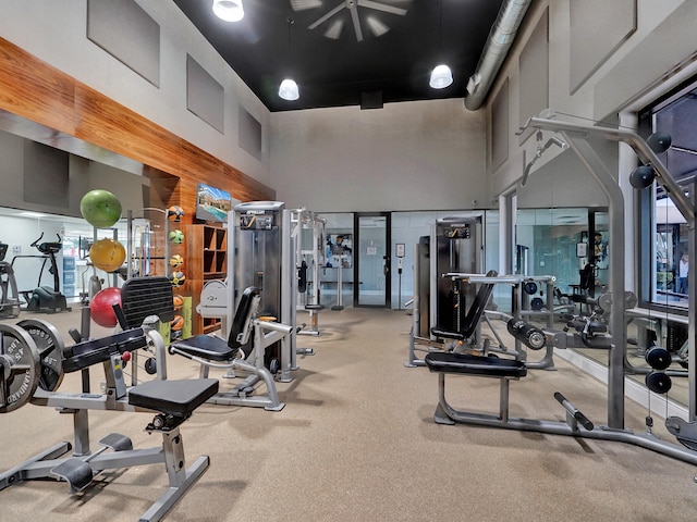 exercise room with a towering ceiling