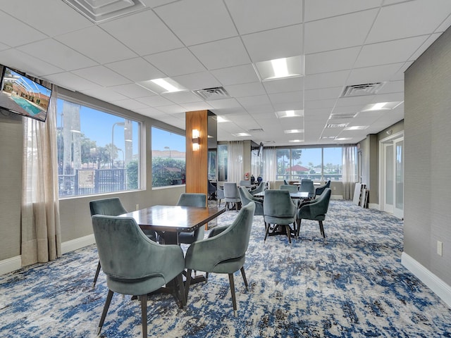 carpeted dining room featuring a healthy amount of sunlight and a drop ceiling